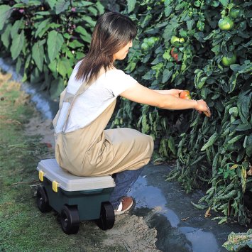 最先端の庭お手入れグッズ８点 雑草 土の掃除に役立つグッズや ガーデニングウェアまで 住まいるオスカーのリフォーム